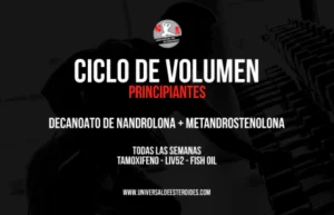 CICLO DE VOLUMEN STACK 1