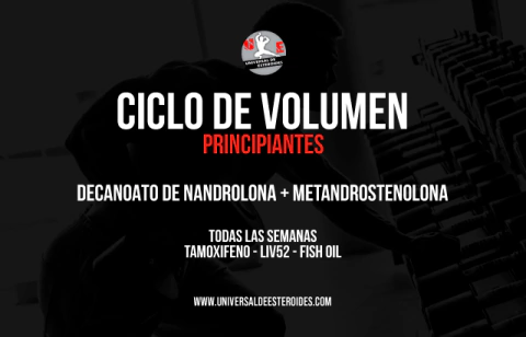 CICLO DE VOLUMEN STACK 1