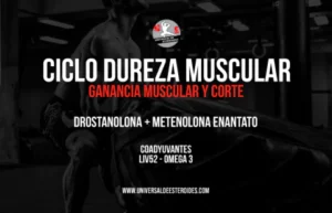 CICLO STACK DUREZA MUSCULAR