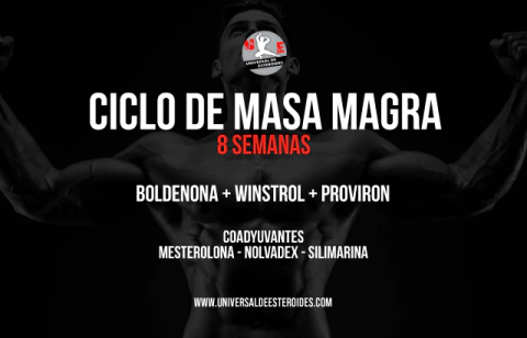 KIT CICLO MASA MAGRA 8 SEMANAS