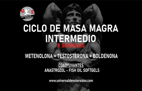 KIT CICLO MASA MAGRA INTERMEDIO