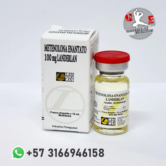 METHENOLONE ENANTHATE