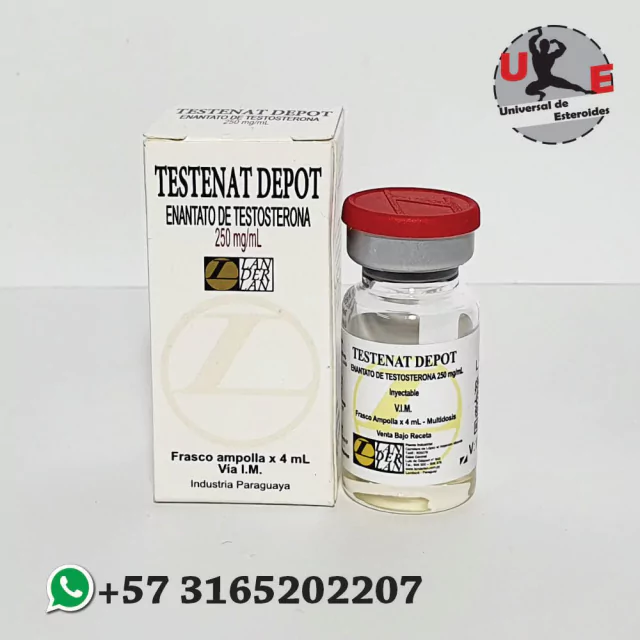 TESTOSTERONA ENANTATO LANDERLAN