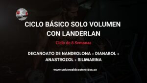 CICLO BASICO SOLO VOLUMEN CON LANDERLAN