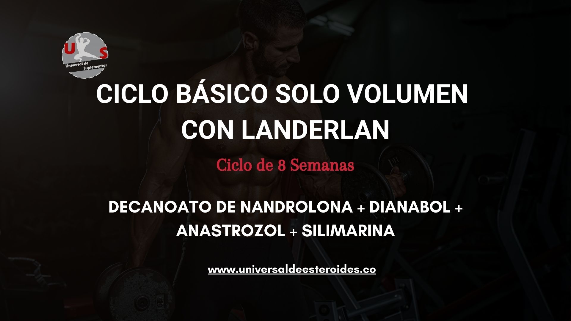CICLO BASICO SOLO VOLUMEN CON LANDERLAN 1 CICLO BASICO SOLO VOLUMEN CON LANDERLAN