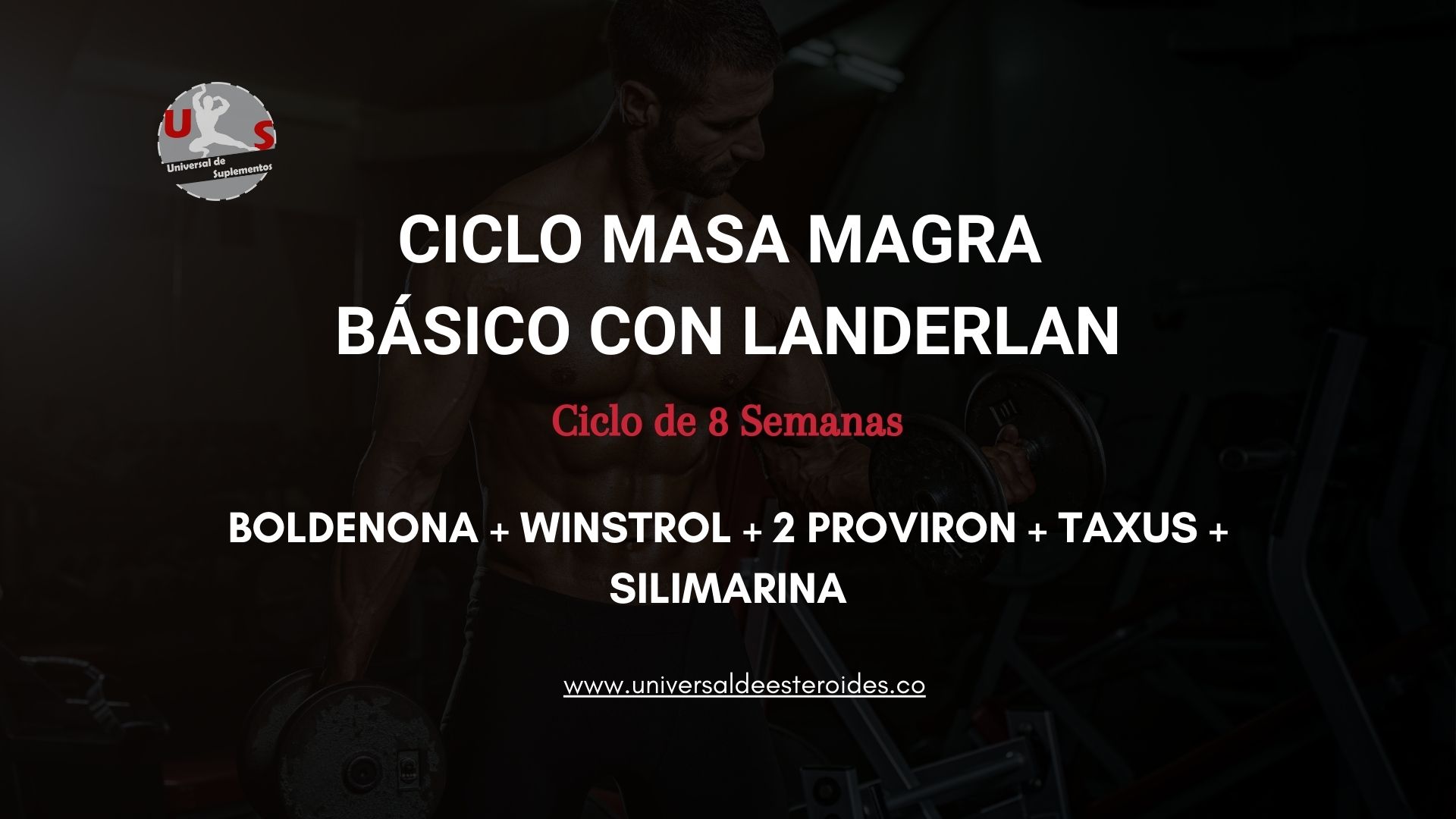 CICLO MASA MAGRA BASICO CON LANDERLAN