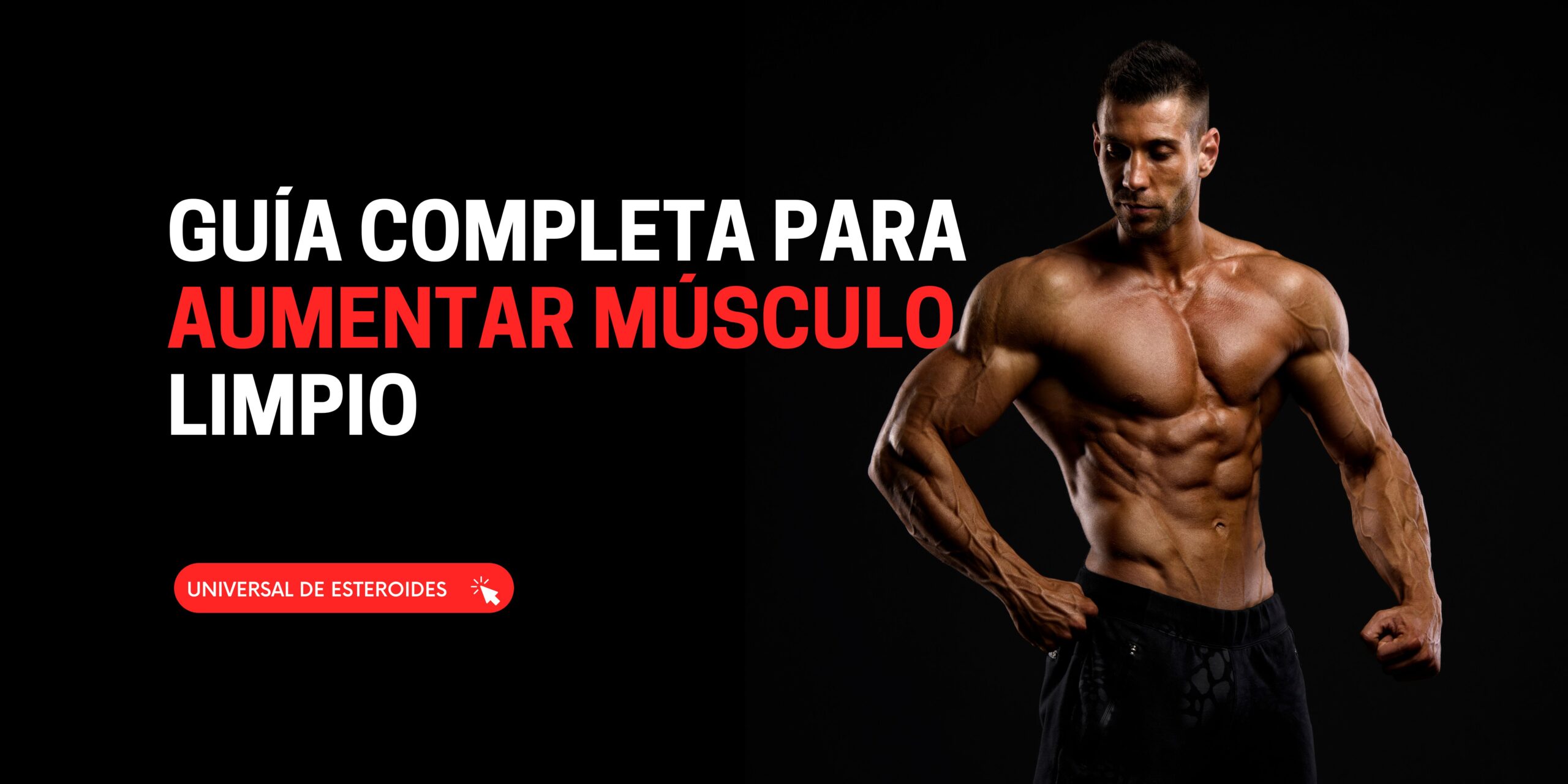 Grafica para el artículo: Cómo Ganar Masa Magra?