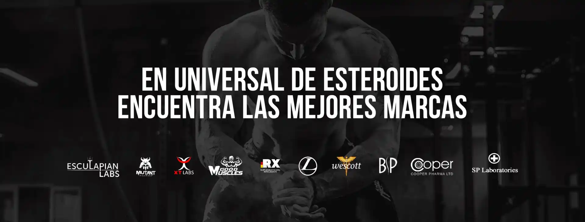 backgrounduniversal 1